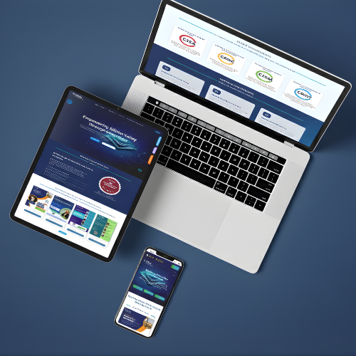 India RISE Fellowship Digital Platform